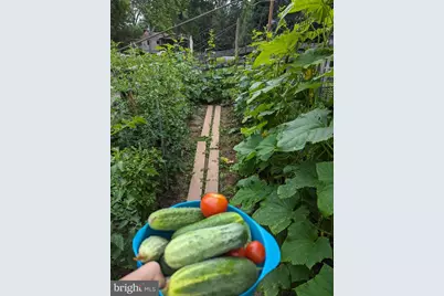 212 New Avenue, Reisterstown, MD 21136 - Photo 43