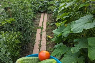 212 New Ave, Reisterstown, MD 21136 - Photo 43