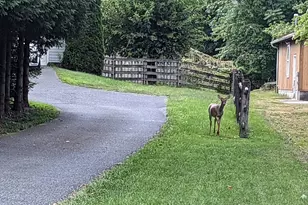 212 New Ave, Reisterstown, MD 21136 - Photo 47