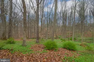 13008 Dulaney Valley Rd, Glen Arm, MD 21057 - Photo 21