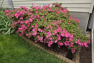 4919 Tartan Hill Rd, Perry Hall, MD 21128 - Photo 51