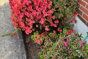 1821 Weyburn Rd, Baltimore, MD 21237 - Photo 37