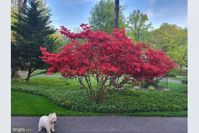 1403 Ellenglen Road, Towson, MD 21286 - Photo 7