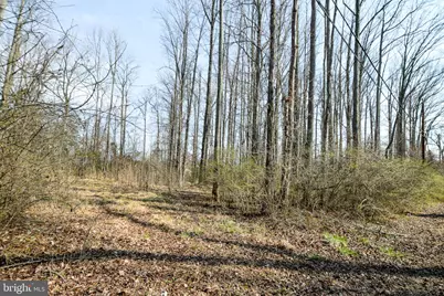 3904 Goose Harbor Road, Middle River, MD 21220 - Photo 21