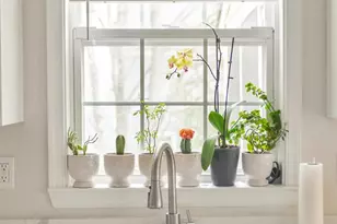 5 Durum Ct, Owings Mills, MD 21117 - Photo 11