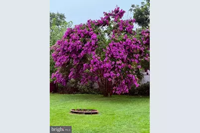 710 Mace Avenue, Baltimore, MD 21221 - Photo 5