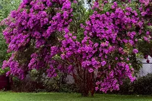 710 Mace Ave, Baltimore, MD 21221 - Photo 5