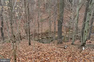 9301 Bellbeck Rd, Baltimore, MD 21234 - Photo 33