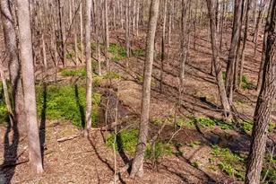 901 Chestnut Ridge Dr, Lutherville Timonium, MD 21093 - Photo 119