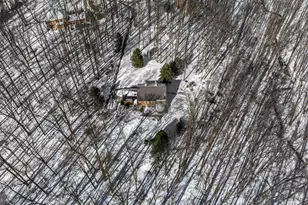 901 Chestnut Ridge Dr, Lutherville Timonium, MD 21093 - Photo 135