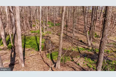 901 Chestnut Ridge Drive, Lutherville Timonium, MD 21093 - Photo 115