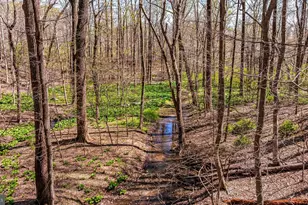 901 Chestnut Ridge Dr, Lutherville Timonium, MD 21093 - Photo 125