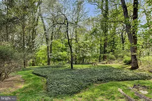 1018 Brooklandwood Rd, Lutherville Timonium, MD 21093 - Photo 57