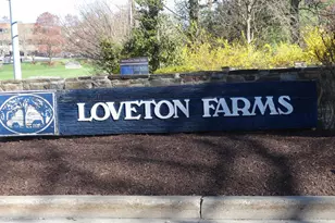 14206 Dove Creek Way, Sparks Glencoe, MD 21152 - Photo 33