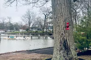 2043 Sue Ave, Baltimore, MD 21221 - Photo 21