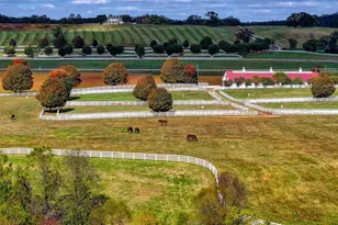 3366 Belmont Ave, Glyndon, MD 21136 - Photo 87