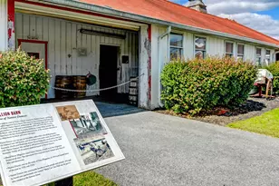 3366 Belmont Ave, Glyndon, MD 21136 - Photo 59