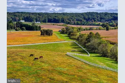 3366 Belmont Avenue, Glyndon, MD 21136 - Photo 85