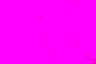 8002 Lansdale Rd, Baltimore, MD 21224 - Photo 17