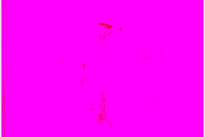 8002 Lansdale Road, Baltimore, MD 21224 - Photo 23