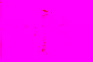 8002 Lansdale Rd, Baltimore, MD 21224 - Photo 23