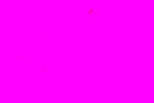 8002 Lansdale Rd, Baltimore, MD 21224 - Photo 15