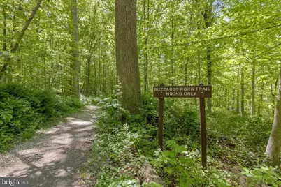 2005 Helmsby Road, Catonsville, MD 21228 - Photo 49