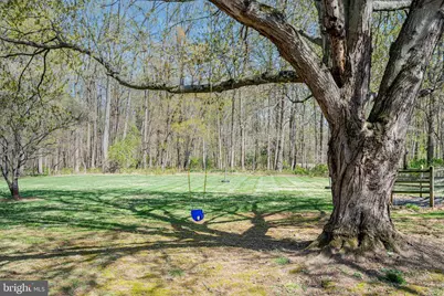 13707 Killarney Court, Phoenix, MD 21131 - Photo 49