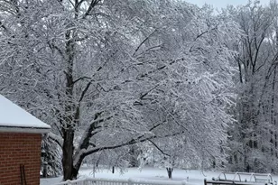 13707 Killarney Ct, Phoenix, MD 21131 - Photo 53