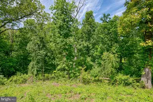 6 Old Garrett Ct, White Hall, MD 21161 - Photo 63