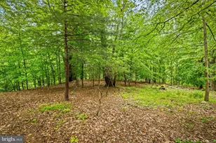 10 Chesterfield Ct, Monkton, MD 21111 - Photo 45