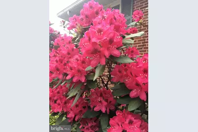 204 Elpin Drive W, Catonsville, MD 21228 - Photo 33