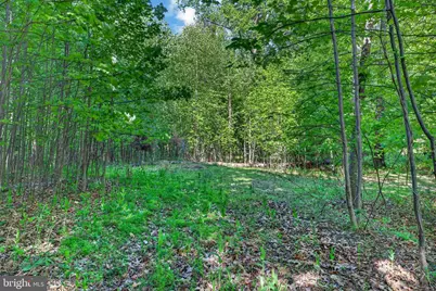 8 Norfolk Court, Reisterstown, MD 21136 - Photo 11