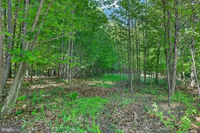 8 Norfolk Court, Reisterstown, MD 21136 - Photo 7