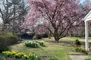 1900 Frederick Rd, Catonsville, MD 21228 - Photo 39