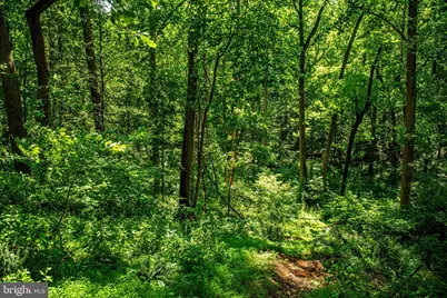 46 Dulaney Hills Court, Cockeysville, MD 21030 - Photo 41