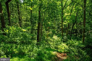 46 Dulaney Hills Ct, Cockeysville, MD 21030 - Photo 41