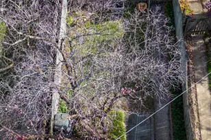 127 Stanmore Rd, Baltimore, MD 21212 - Photo 35