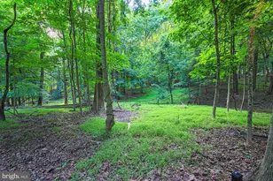 17 Montvieu Ct, Cockeysville, MD 21030 - Photo 45