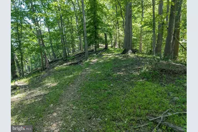 11124 Old Carriage Road, Glen Arm, MD 21057 - Photo 67
