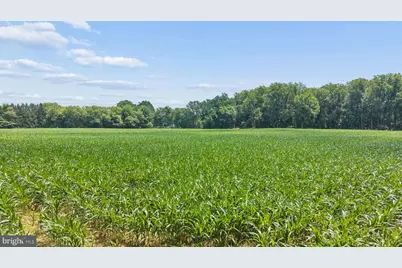 7219 New Cut Road, Kingsville, MD 21087 - Photo 27