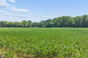 7219 New Cut Rd, Kingsville, MD 21087 - Photo 27