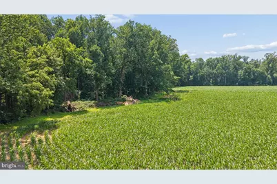 7219 New Cut Road, Kingsville, MD 21087 - Photo 23