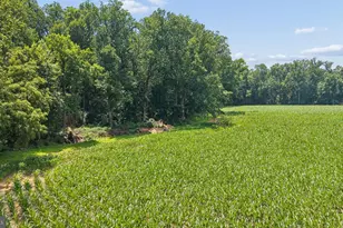 7219 New Cut Rd, Kingsville, MD 21087 - Photo 23