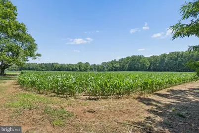 7219 New Cut Road, Kingsville, MD 21087 - Photo 35
