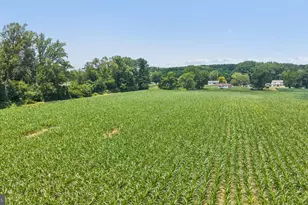 7219 New Cut Rd, Kingsville, MD 21087 - Photo 25