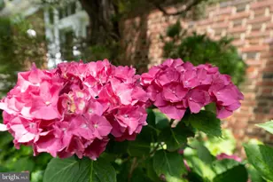 26 Bellchase Ct, Pikesville, MD 21208 - Photo 47