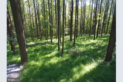 15651 Duncan Hill Road, Sparks Glencoe, MD 21152 - Photo 11