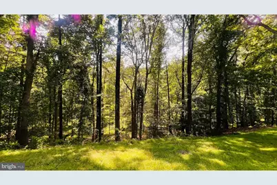 31 Treadwell Court, Lutherville Timonium, MD 21093 - Photo 11