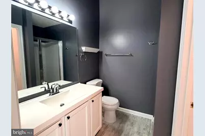 5 Silver Birch Court, Owings Mills, MD 21117 - Photo 25
